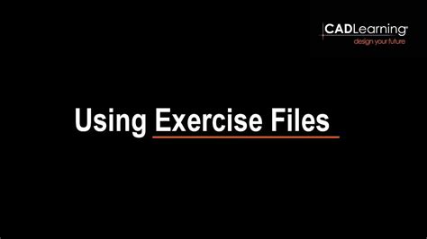 Using the exercise files 